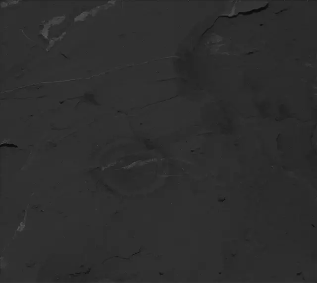 Sol 2050: Mast Camera (Mastcam)