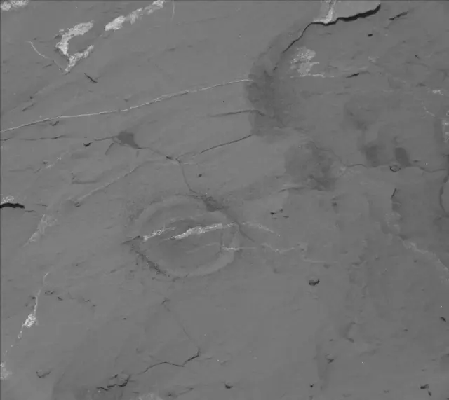 Sol 2050: Mast Camera (Mastcam)