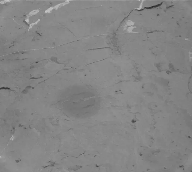 Sol 2050: Mast Camera (Mastcam)