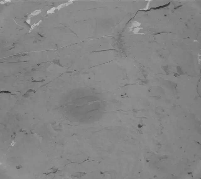 Sol 2050: Mast Camera (Mastcam)