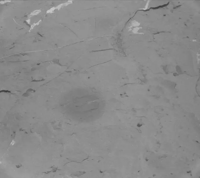 Sol 2050: Mast Camera (Mastcam)