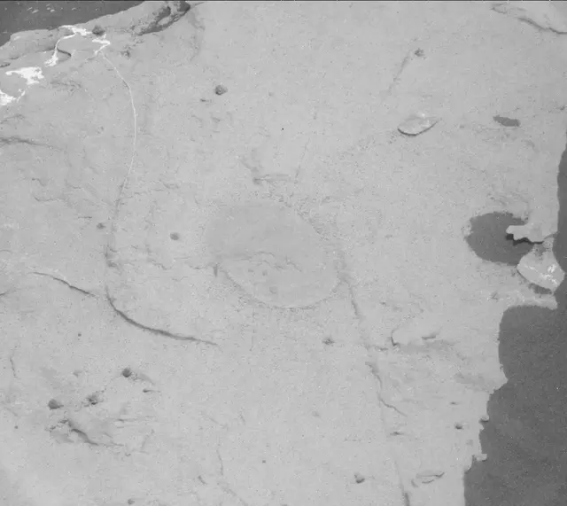 Sol 2050: Mast Camera (Mastcam)