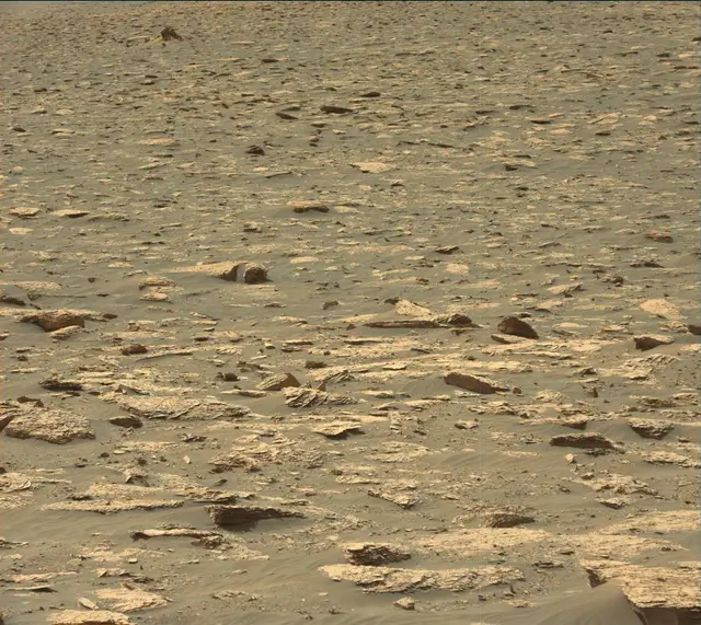 Sol 2051: Mast Camera (Mastcam)