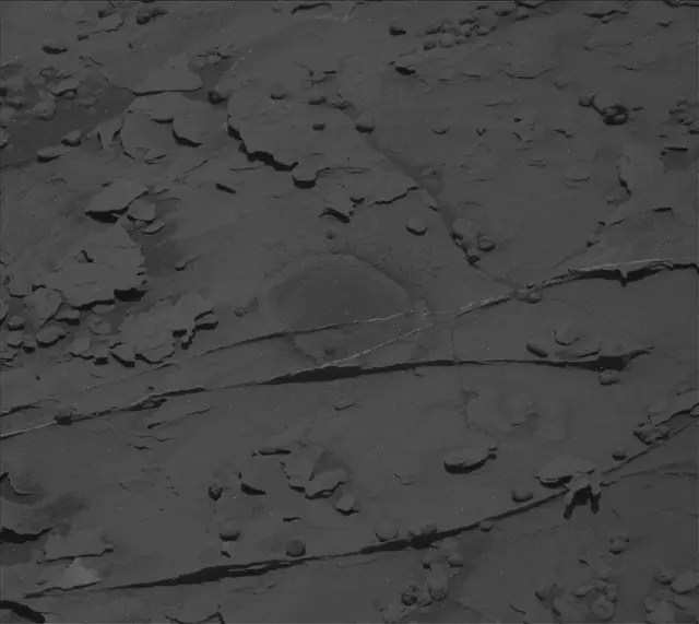 Sol 2056: Mast Camera (Mastcam)