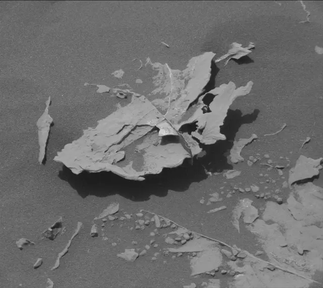 Sol 2056: Mast Camera (Mastcam)