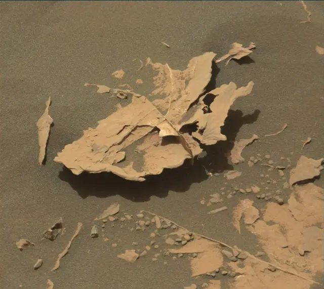 Sol 2056: Mast Camera (Mastcam)
