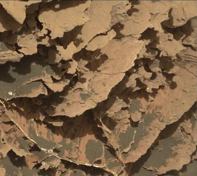 Sol 2056: Mast Camera (Mastcam)