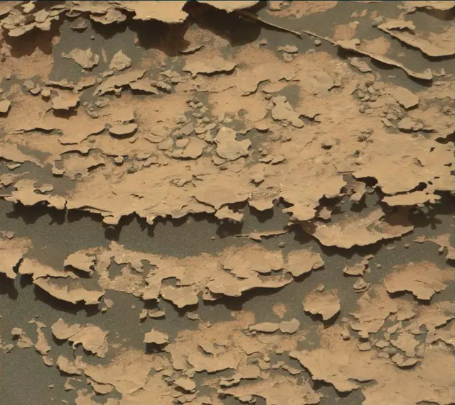 Sol 2063: Mast Camera (Mastcam)