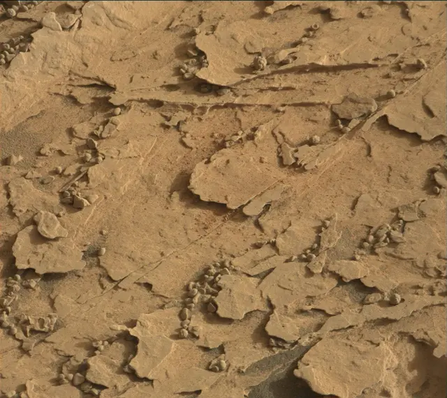 Sol 2065: Mast Camera (Mastcam)