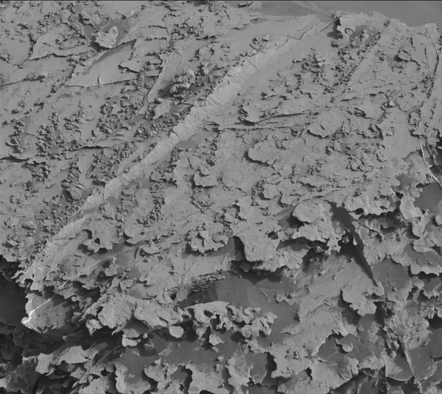 Sol 2072: Mast Camera (Mastcam)