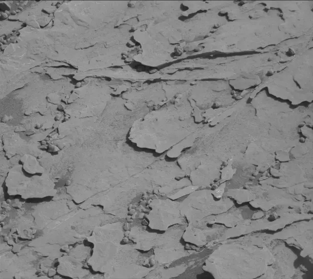 Sol 2073: Mast Camera (Mastcam)
