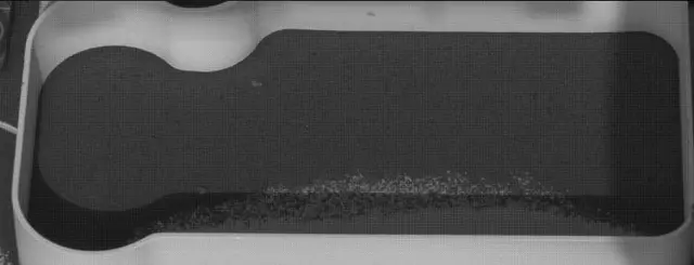 Sol 2075: Mast Camera (Mastcam)