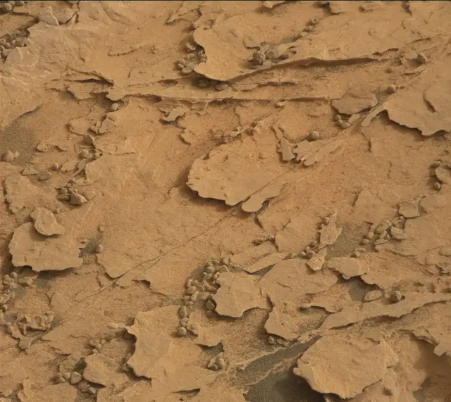 Sol 2078: Mast Camera (Mastcam)