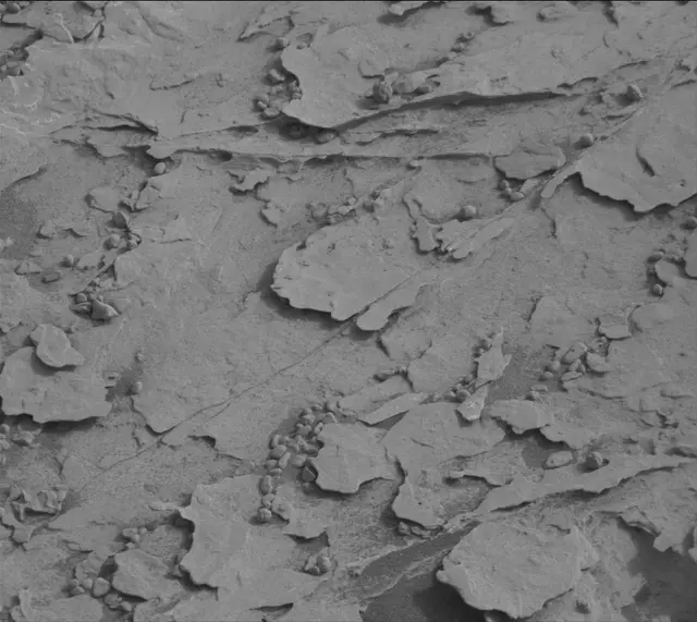 Sol 2079: Mast Camera (Mastcam)
