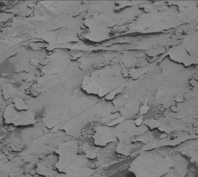 Sol 2081: Mast Camera (Mastcam)