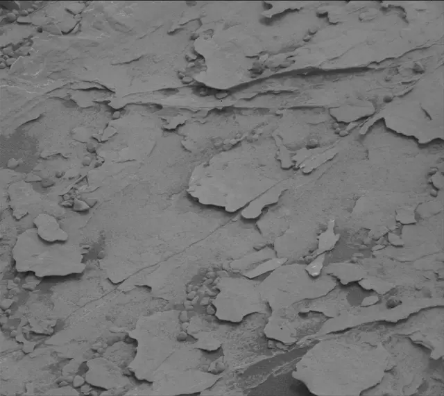 Sol 2083: Mast Camera (Mastcam)