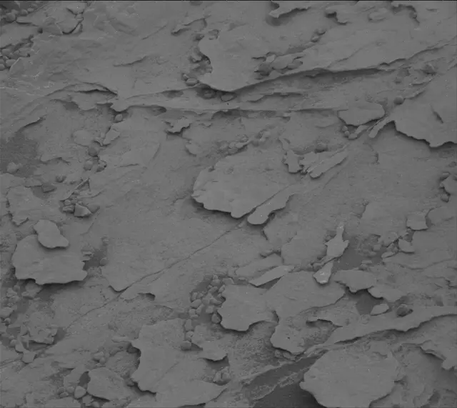 Sol 2083: Mast Camera (Mastcam)