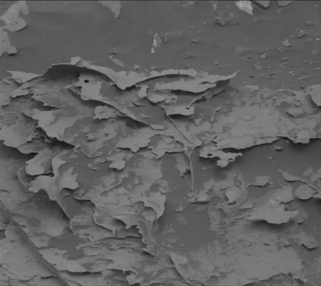 Sol 2090: Mast Camera (Mastcam)