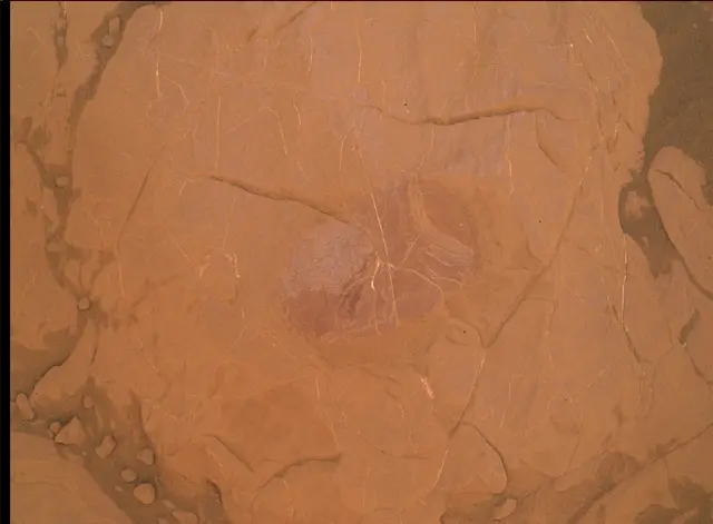 Sol 2109: Mars Hand Lens Imager (MAHLI)