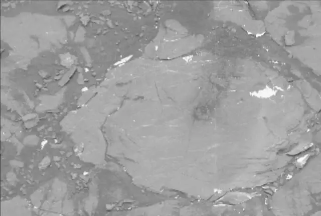Sol 2113: Mast Camera (Mastcam)