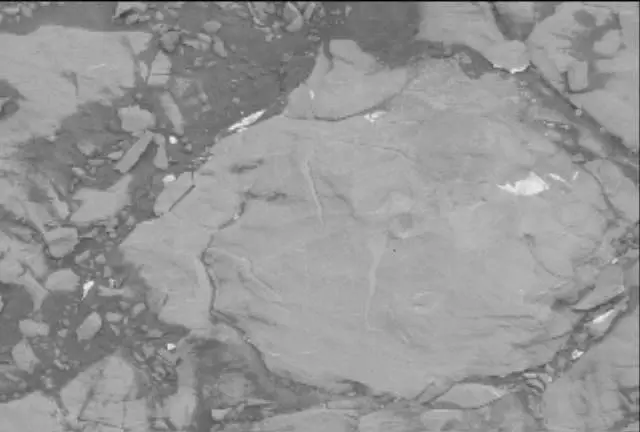 Sol 2113: Mast Camera (Mastcam)