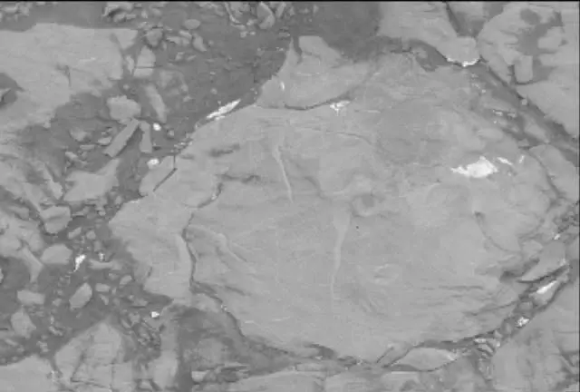 Sol 2113: Mast Camera (Mastcam)