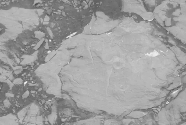 Sol 2113: Mast Camera (Mastcam)