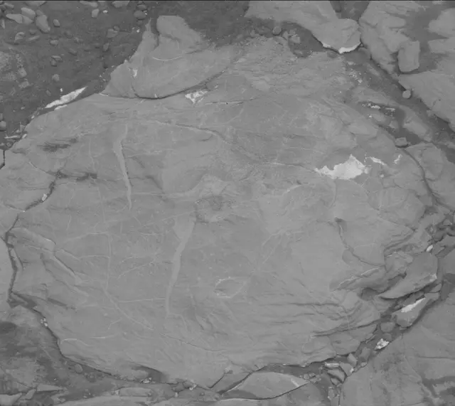 Sol 2113: Mast Camera (Mastcam)