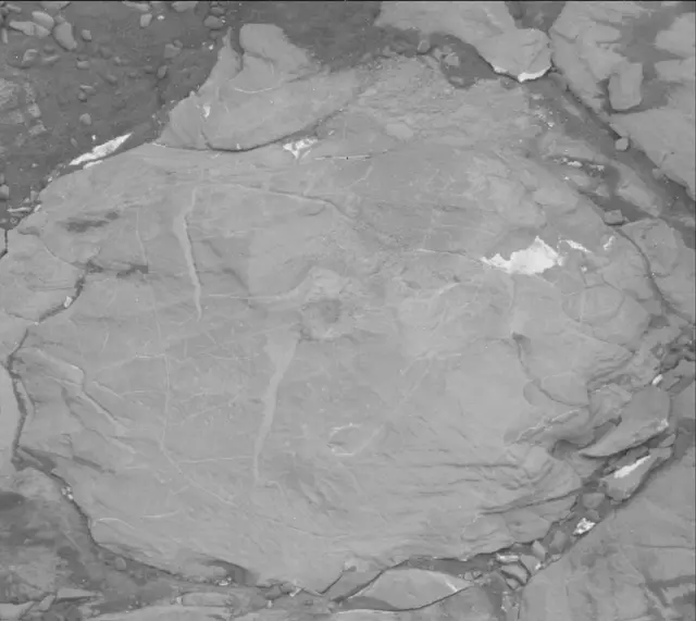 Sol 2113: Mast Camera (Mastcam)