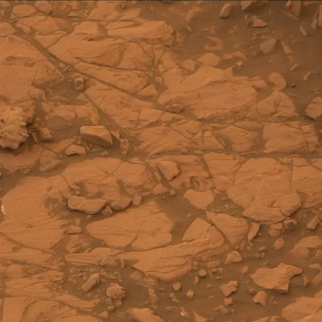 Sol 2115: Mast Camera (Mastcam)