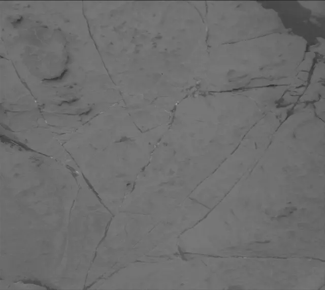 Sol 2120: Mast Camera (Mastcam)