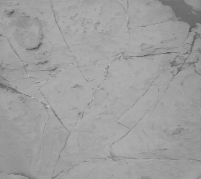 Sol 2120: Mast Camera (Mastcam)