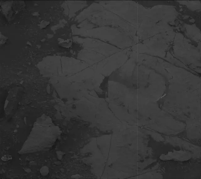 Sol 2123: Mast Camera (Mastcam)