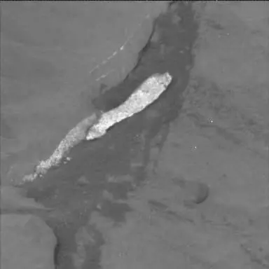 Sol 2124: Mast Camera (Mastcam)