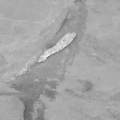 Sol 2124: Mast Camera (Mastcam)