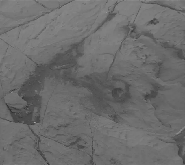 Sol 2125: Mast Camera (Mastcam)