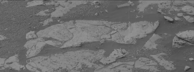 Sol 2130: Mast Camera (Mastcam)
