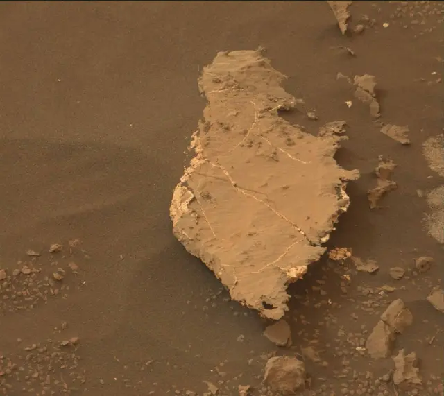 Sol 2130: Mast Camera (Mastcam)