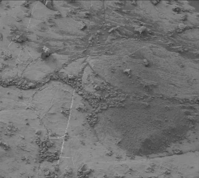 Sol 2155: Mast Camera (Mastcam)