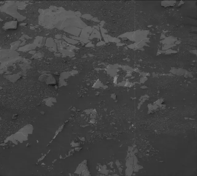 Sol 2156: Mast Camera (Mastcam)