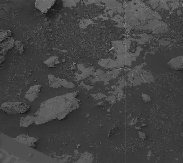 Sol 2156: Mast Camera (Mastcam)