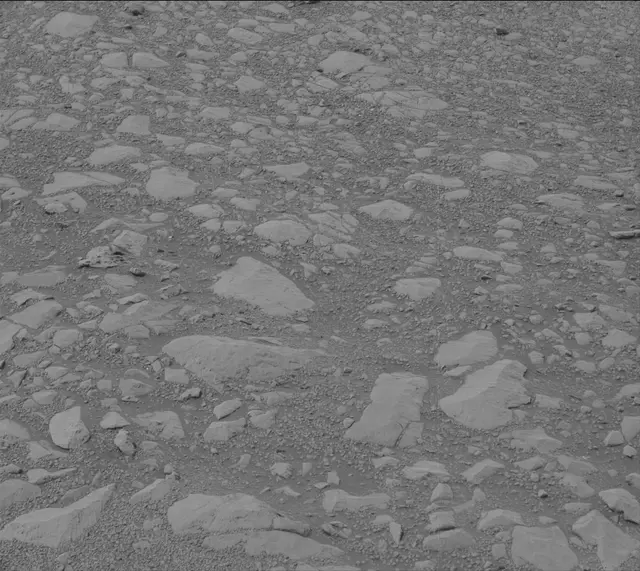 Sol 2160: Mast Camera (Mastcam)