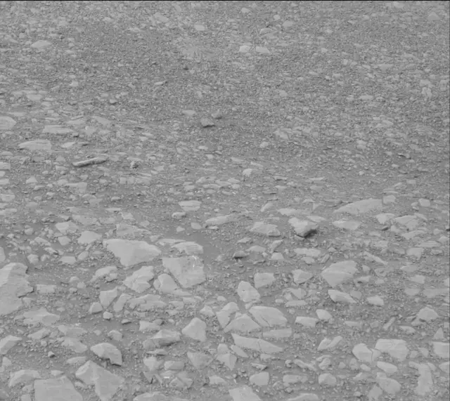 Sol 2160: Mast Camera (Mastcam)