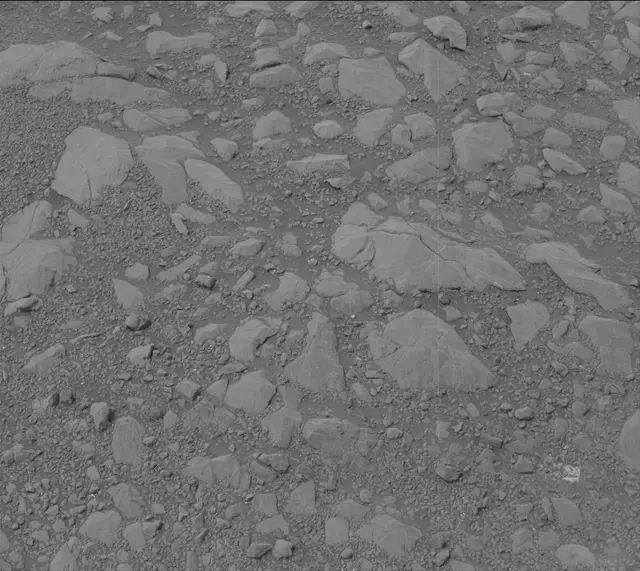 Sol 2160: Mast Camera (Mastcam)