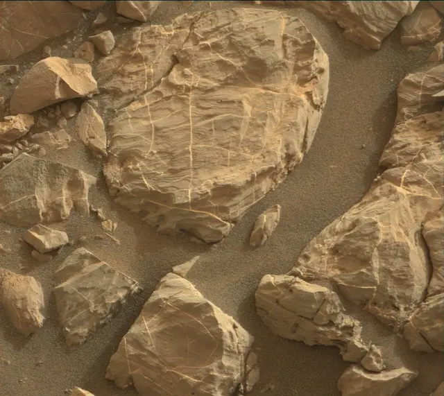 Sol 2163: Mast Camera (Mastcam)