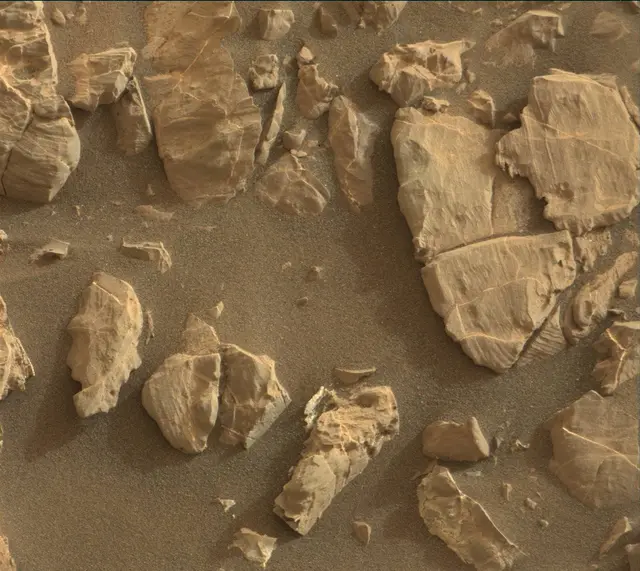 Sol 2163: Mast Camera (Mastcam)