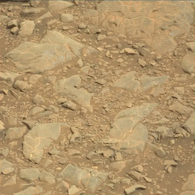 Sol 2166: Mast Camera (Mastcam)