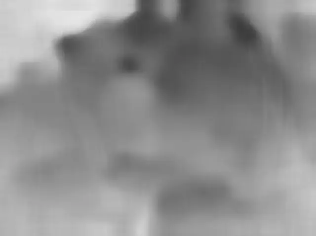 Sol 2166: Mars Hand Lens Imager (MAHLI)