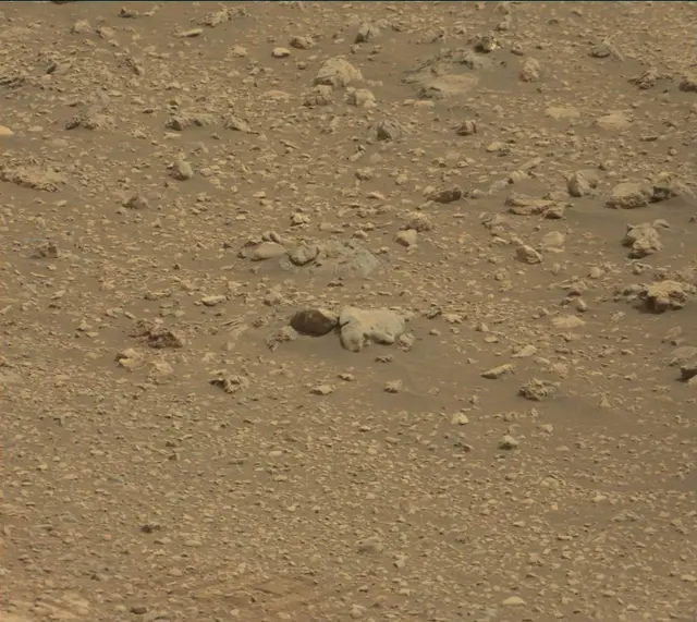 Sol 2169: Mast Camera (Mastcam)