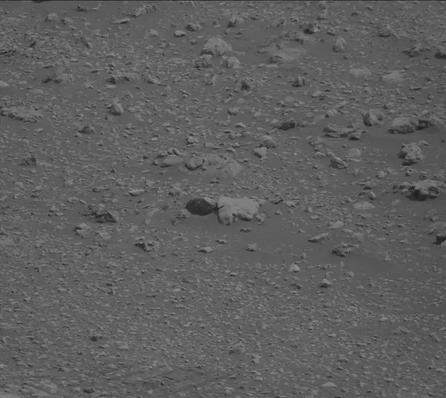 Sol 2169: Mast Camera (Mastcam)